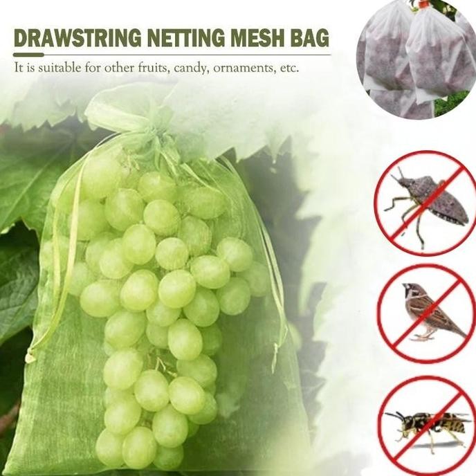 Vinnatsu-100PCS Kantong Jaring Pembungkus Buah Kantong Jaring Pembungkus Buah Anggur Klengkeng Straw