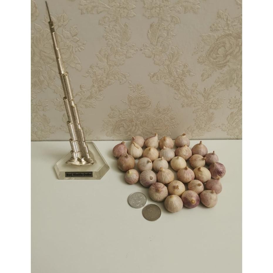 

Bawang Putih Tunggal MENTAH Bawang Lanang 250gr