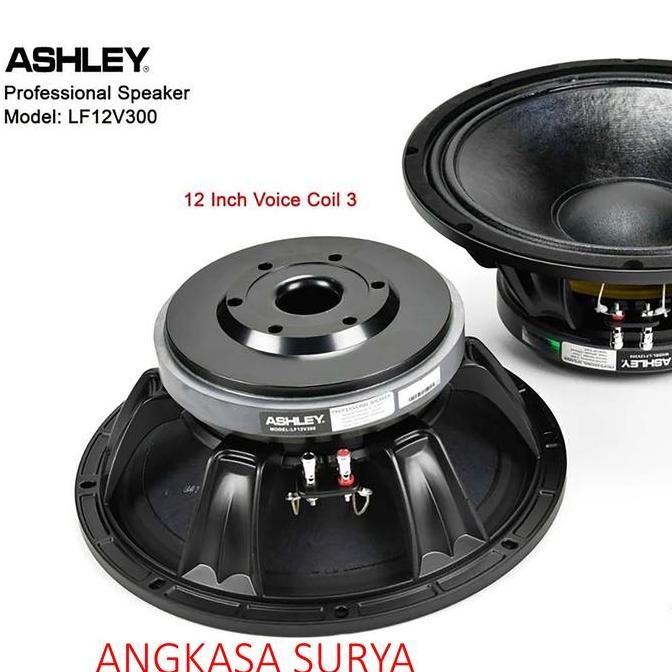 Speaker komponen ASHLEY 12V300 / LF12V300/ LF 12V300 ORIGINAL 12 inch