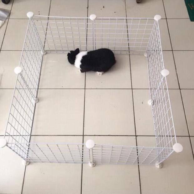 

HARGA DISC - C&C cage grid white colour 35 cm x 35 cm torto , guineapig and playpan