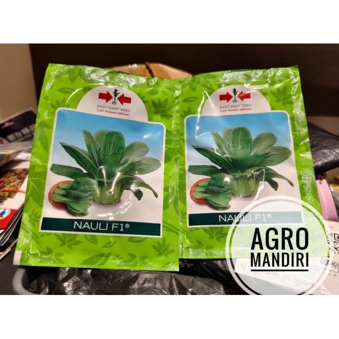 (Allthebest) Benih Bibit Sawi Daging Pakcoy Daging Nauli F1 10gr Cap Panah Merah