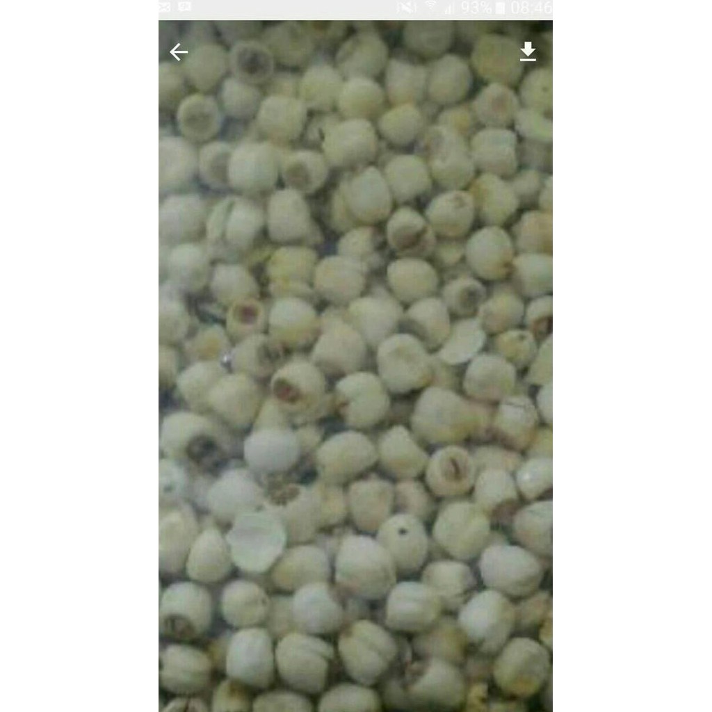 

Grosir Biji Teratai Kering 250 G Gr Gram