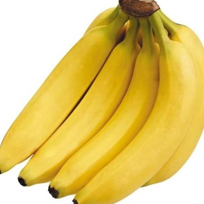 

Bibit Pisang Cavendish - pisang kavendis unggul ATV