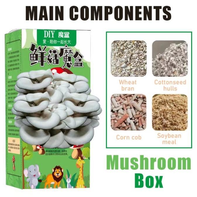 

ready Paket Budidaya Jamur Minigrow Jamur / Kotak jamur DIY Tas bakteri jamur Jamur yang dapat dimakan Penanaman keluarga Tas jamur hadiah anak -anak