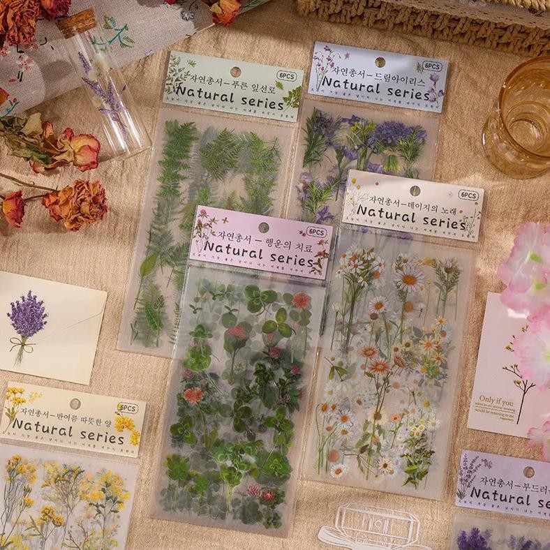 

6pcs Natural Plant Theme Sticker Pack PVC Decorative Album Phone Case Book Cover Decorative Stickers Children's Creative Handboo