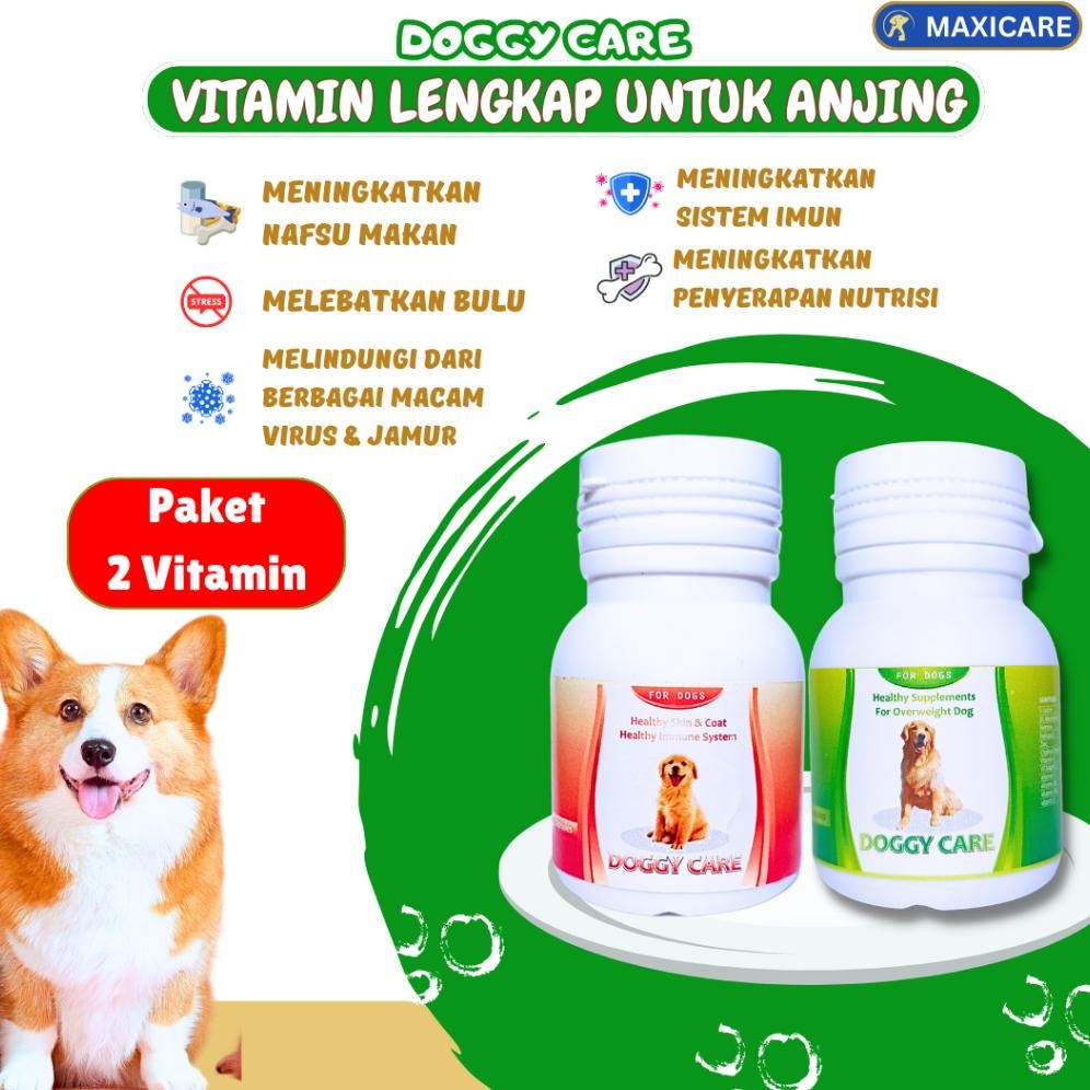 VITAMIN ANJING  BULU ANJING  NAFSU MAKAN PENGGEMUK ANJING PENUMBUH BULU ANJING OBAT RONTOK BULU ANJI