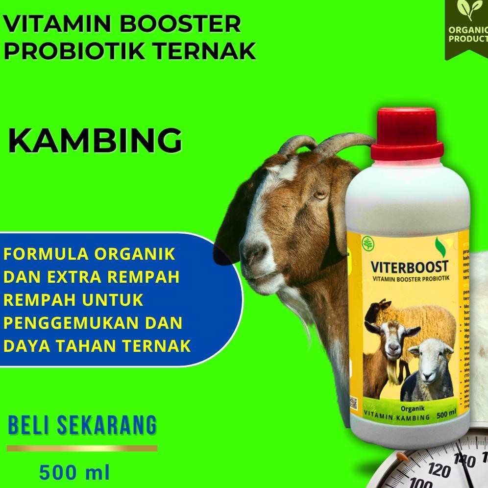 Vitamin Obat Kambing Agar Cepat Gemuk | Vitamin Lengkap untuk Kambing Sehat & Produktif | Obat Kambi
