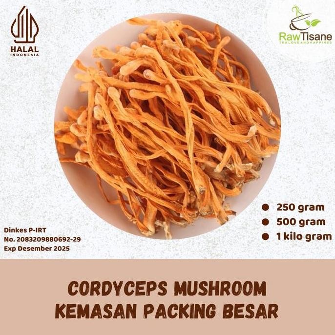 

SALE!!! RAW TISANE Cordyceps Mushroom Flower Tea Premium Quality / Teh Bunga Jamur Cordyceps Kualitas Premium Isi 1 Kg