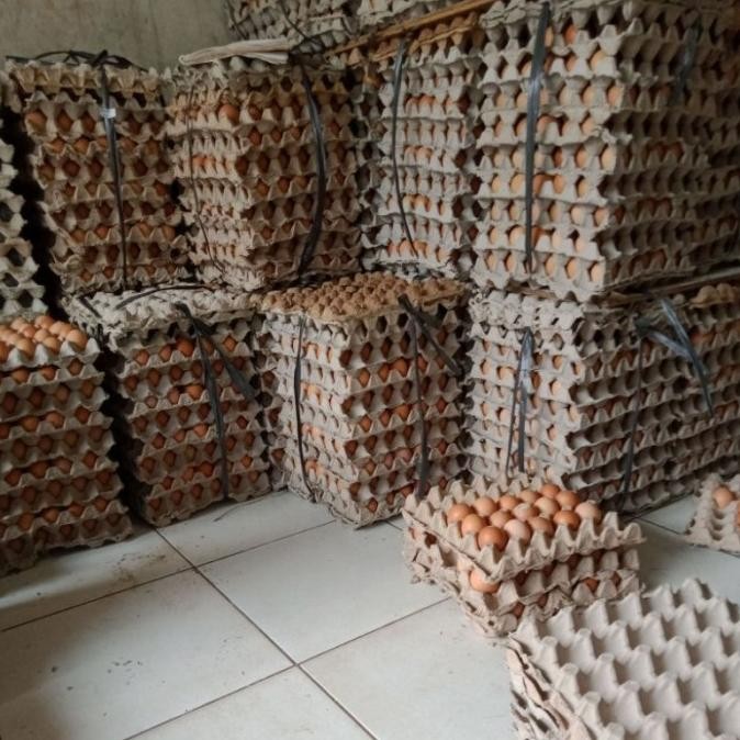 

(Expert) 1 KRAT TELUR ISI 30 BUTIR, BERAT 1.7kg-1.9kg TOKO SEMBAKO CIKARANG