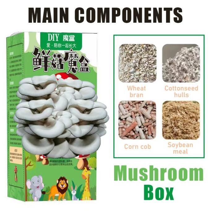 

Paket Budidaya Jamur Minigrow Jamur / Kotak jamur DIY Tas bakteri jamur Jamur yang dapat dimakan Penanaman keluarga Tas jamur hadiah anak -anak
