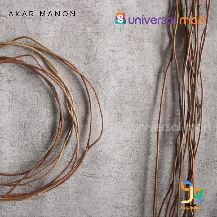 Akar Manon Kering Untuk Dekorasi Property Rumah Perlengkapan Pesta