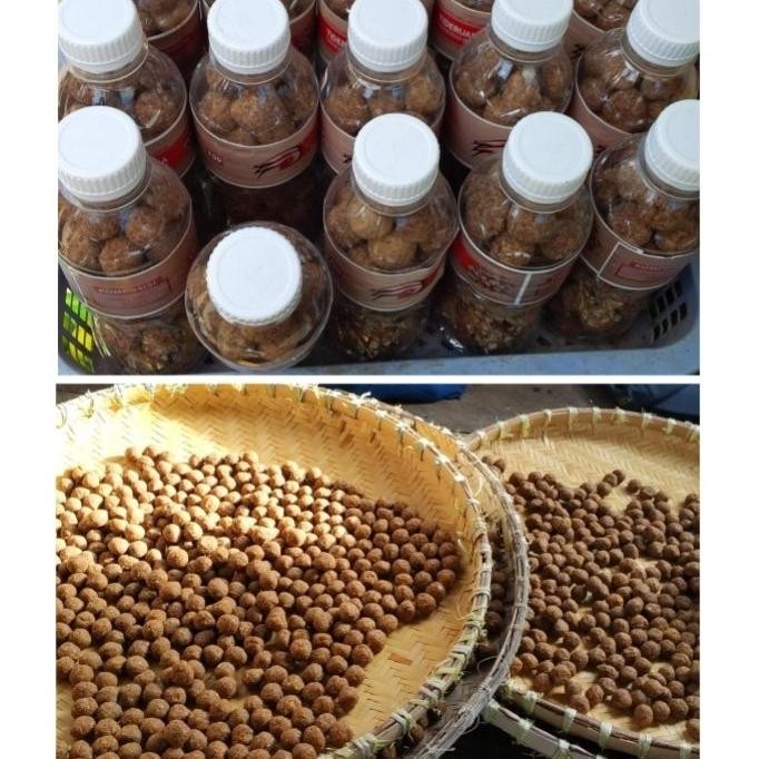 

Terasi Udang Selayar 1 Pak
