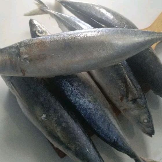

Cod Ikan Layang Jumbo 3-5 Ekor/Kg 1 Kg Pal Merah - Jak Bar At-126