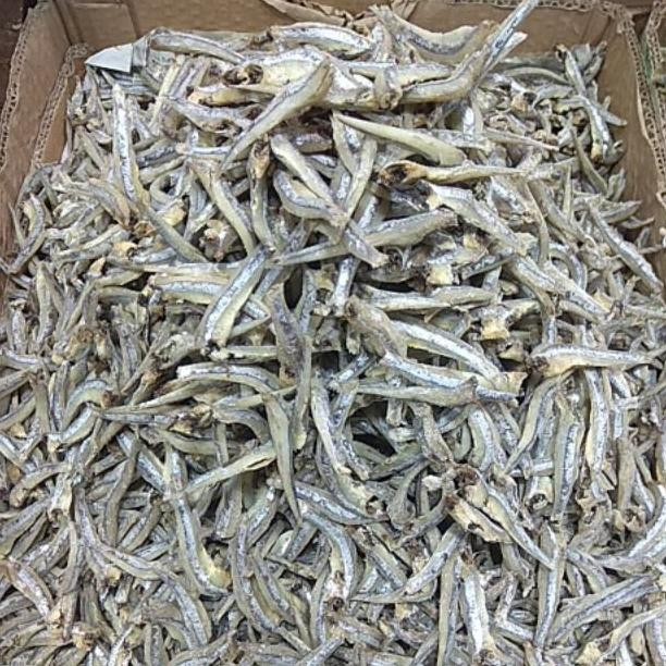 

Termurah Ikan Teri Jengki Bulat Medan ,Berat 250 Gram Nt-137