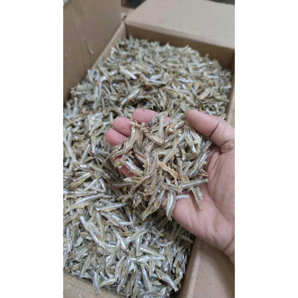 

Teri Jengki Belah / Teri Belah Murah 1 Kg RB10