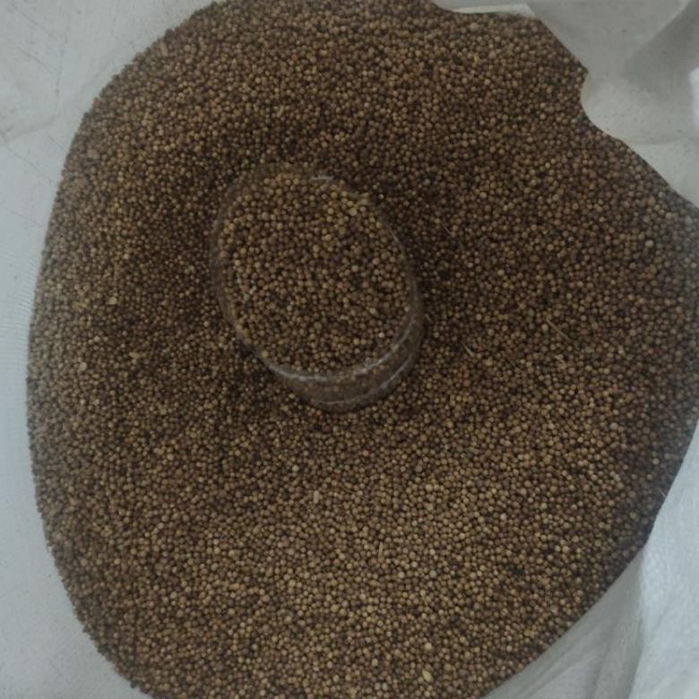 

Ketumbar hitam 1kg | ketumbar 1kg RB10