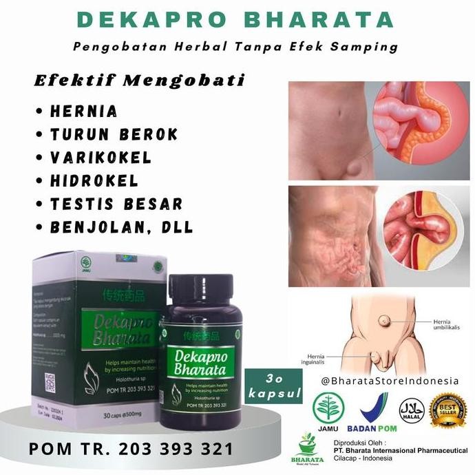 Obat Testis Bengkak Hidrokel Varikokel Hernia Ampuh Dekapro Bharata