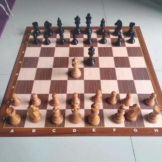 Papan Catur Lipat 4 Internasional