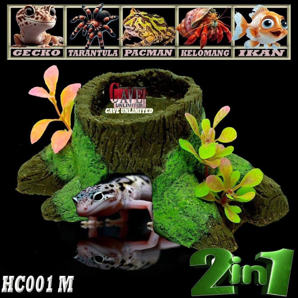 HC001M HIDING CAVE HIDEOUT HIDINGCAVE PLACE REPTILE GECKO LEOPARD GEKO TOKEK AFT WHEELERI TARANTULA 