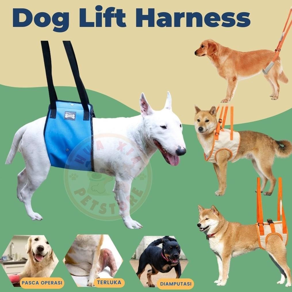 Dog Lift Harness /Alat bantu jalan Anjing / PET Medical Equipment AST