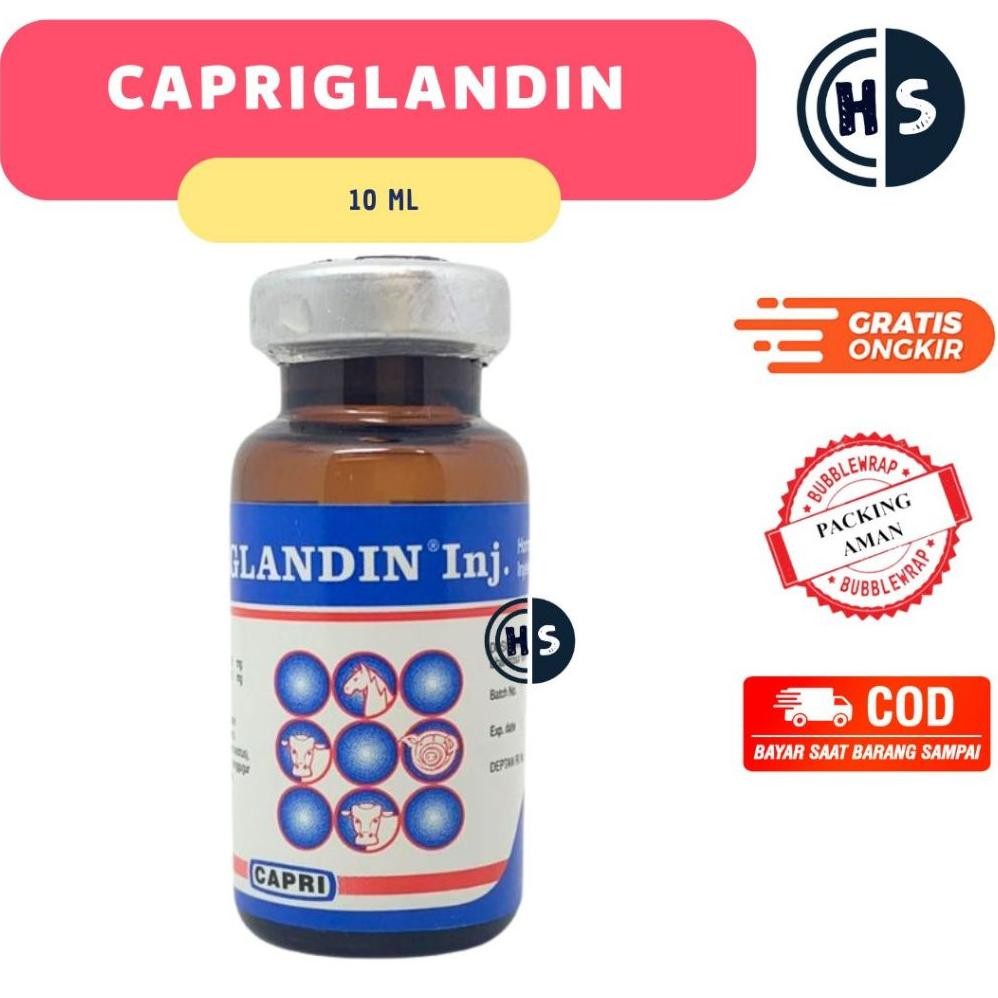 TERMURAH CAPRIGLANDIN INJ 10ml - Obat Birahi Hewan, Hormon Sinkronisasi Estrus Sapi Kambing Domba ku