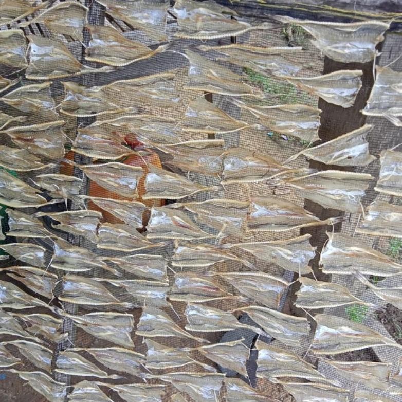 

Terlaris Ikan Asin Tipis Tarakan 1Kg Termurah Dgh-43