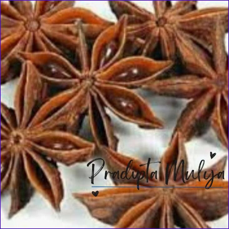 

Baru..!! Kembang Lawang/Bunga Pk/Pk 50Gr