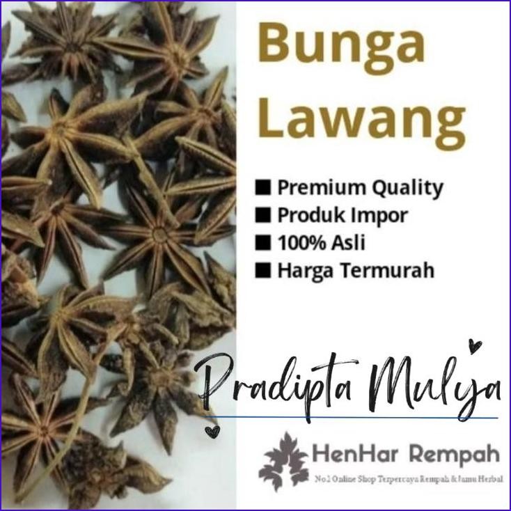 

Cuci Gudang..!! Bunga Lawang / Pekak / Star Anise / Bajiao 100 Gram