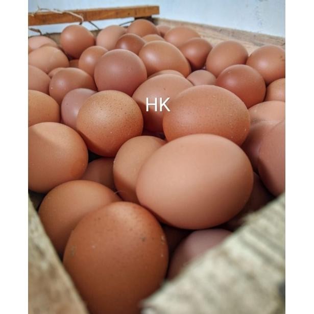 

TELUR AYAM MENTAH