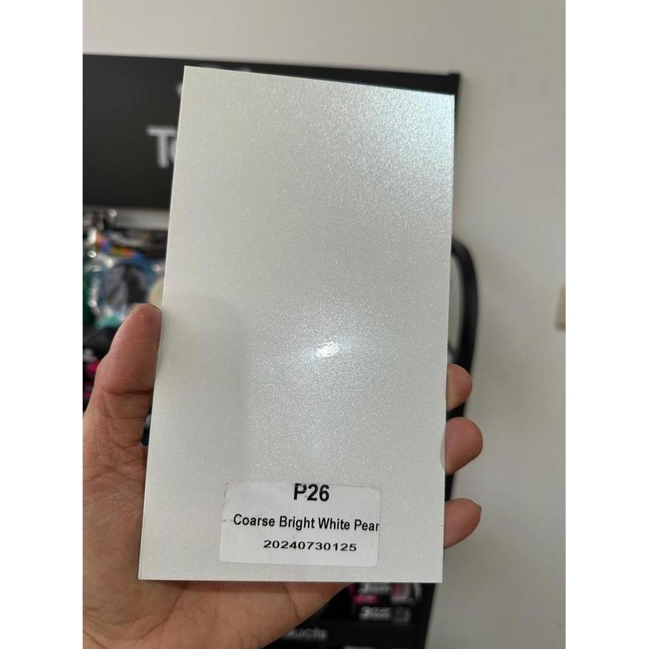 TERLARIS Cat PU RAPICOAT Xirallic Bright White (Coarse)