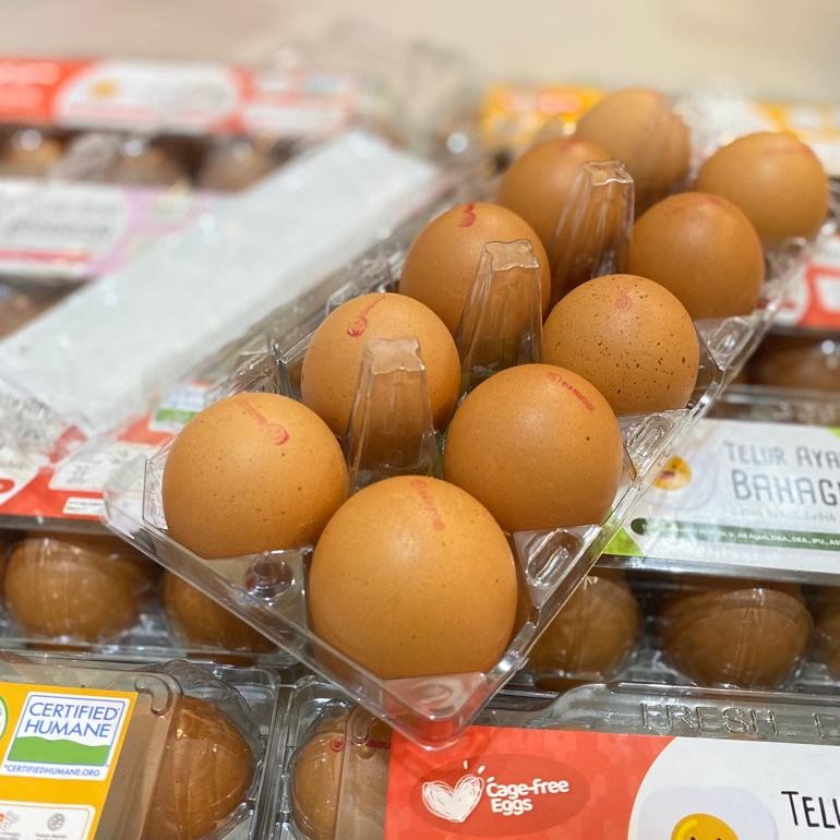 

TELUR AYAM OMEGA BAHAGIA | TELUR OMEGA ISI 6 & 10 BUTIR