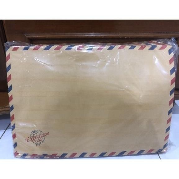

JH8 [50 pcs] Amplop coklat Folio Tali airmail 310 Executive