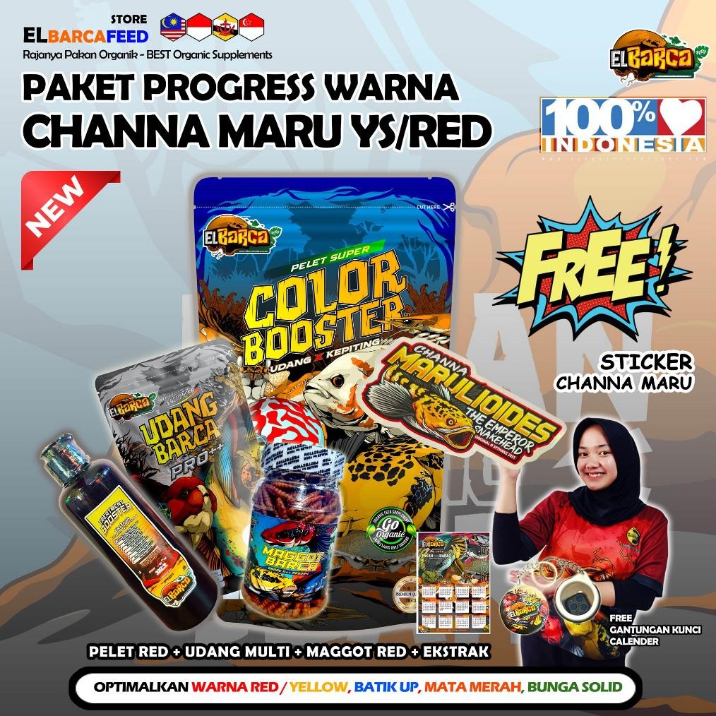 PAKET PAKAN CHANNA MARU YS/RED (PUSH Batik Up, warna red/yellow Up, mata merah) Free Sticker Channa 
