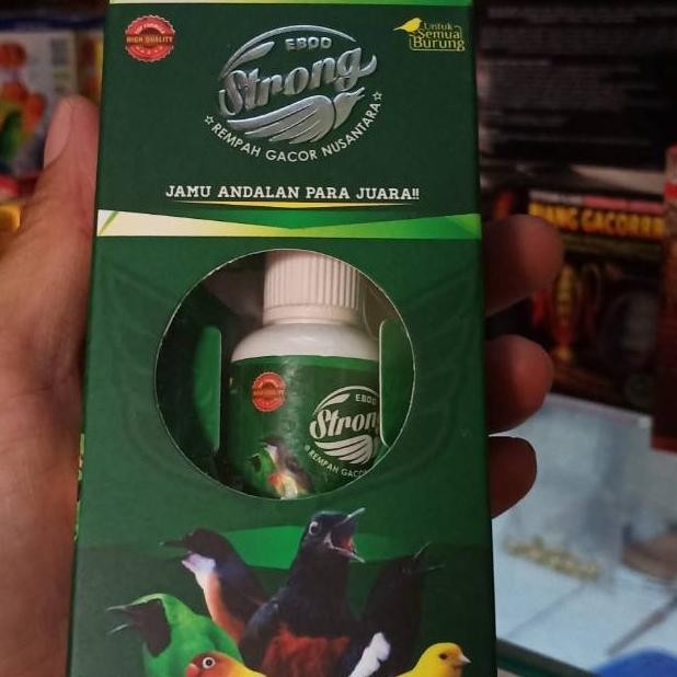 Ebod Strong Ebod Jaya AST