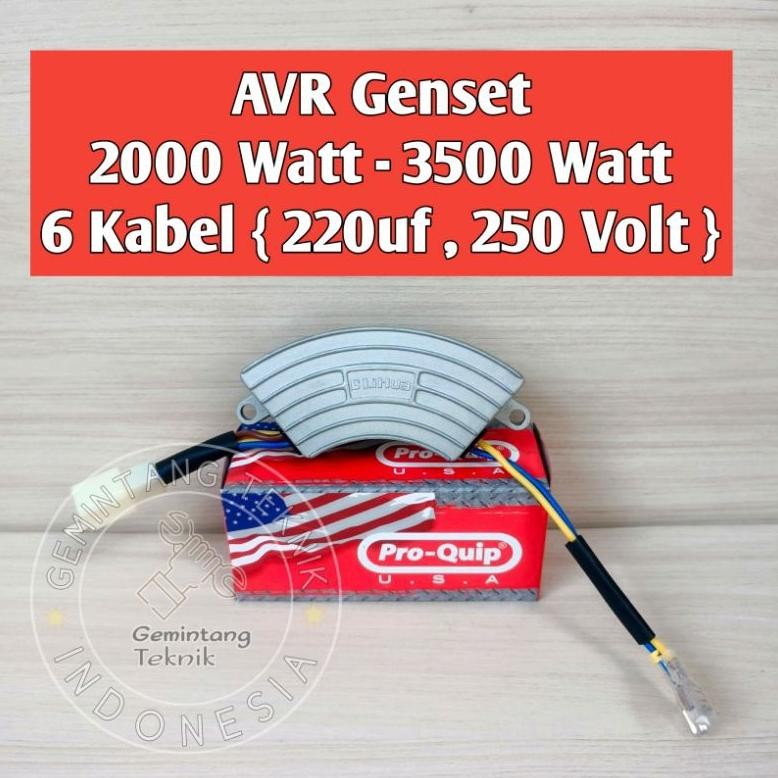 AVR Genset AVR Generator 2000 - 3000 Watt Sabit Merk PRO-QUIP ORIGINAL aSt