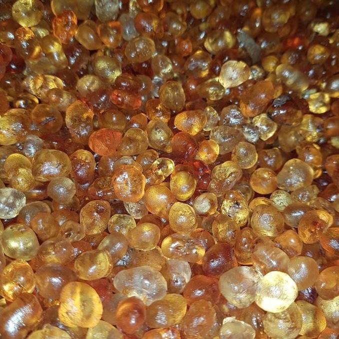 

Peach Gum Premium..Stock Selalu Tersedia...