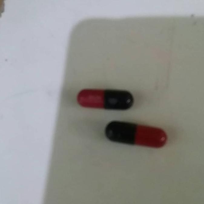 "'''] OBAT CROT BREEDING IKAN CUPANG SHOBU