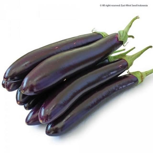 Cod - 20 Biji - Benih Terong Ungu Lezata F1 Cap Panah Merah - Bibit Sayuran - Benih Sayuran Paket Le