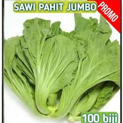 [Cod] - 150 Biji - Benih Sawi Pahit Jumbo Lokal - Bibit Sayuran - Benih Sayur
