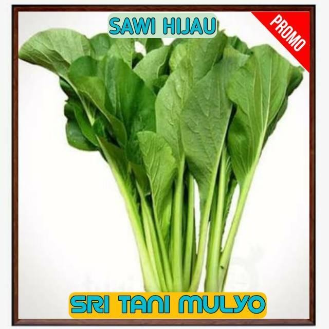 [Cod] - 150 Biji - Benih Sawi Hijau Unggul - Bibit Sawi Manis Benih Sayuran