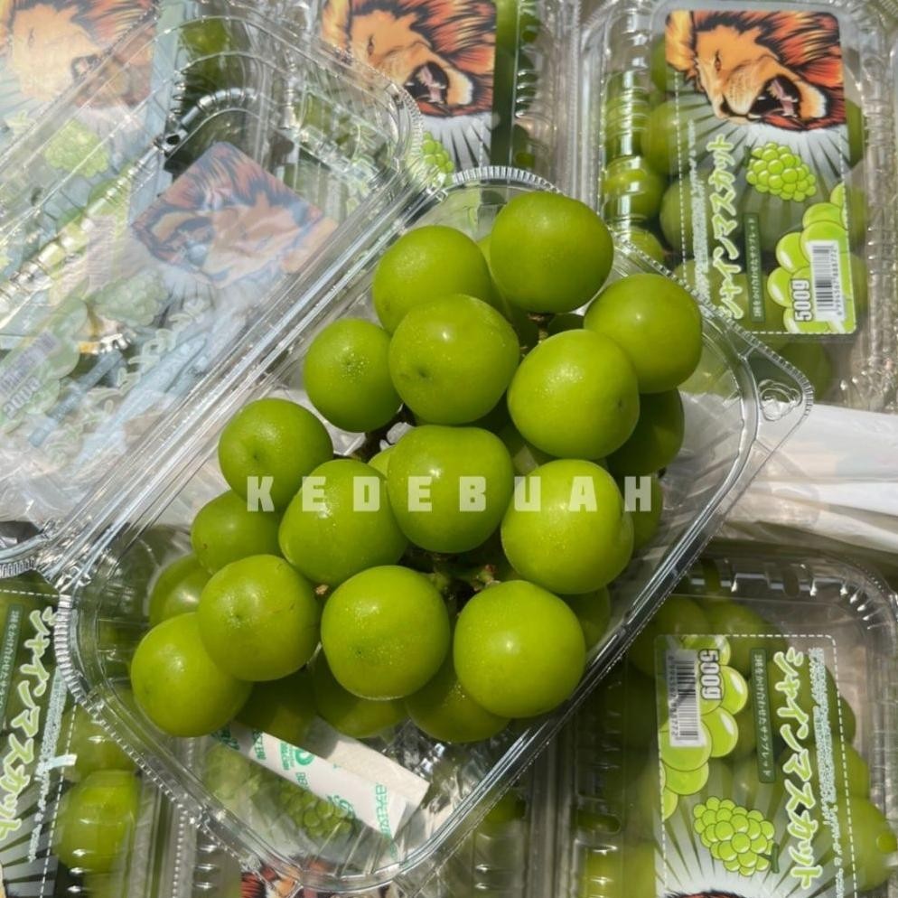 

Anggur Shine Muscat Green Seedless (Buy 1 Get 1)