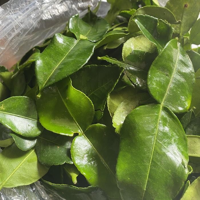 

LS daun jeruk purut segar / 1 kilogram