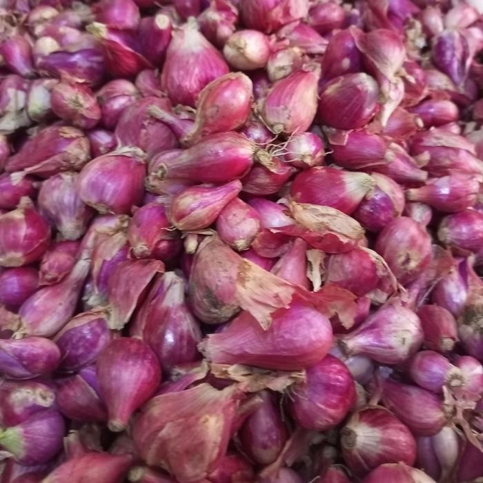 

LS bawang merah brebes