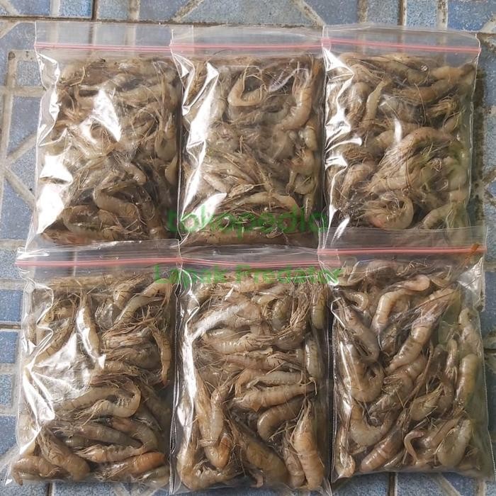 

LS Udang Beku Frozen fresh