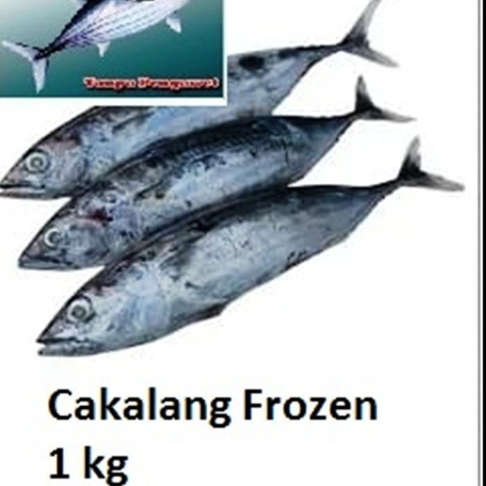 

LS IKAN CAKALANG / Beku / Frozen Fresh / 1 kg