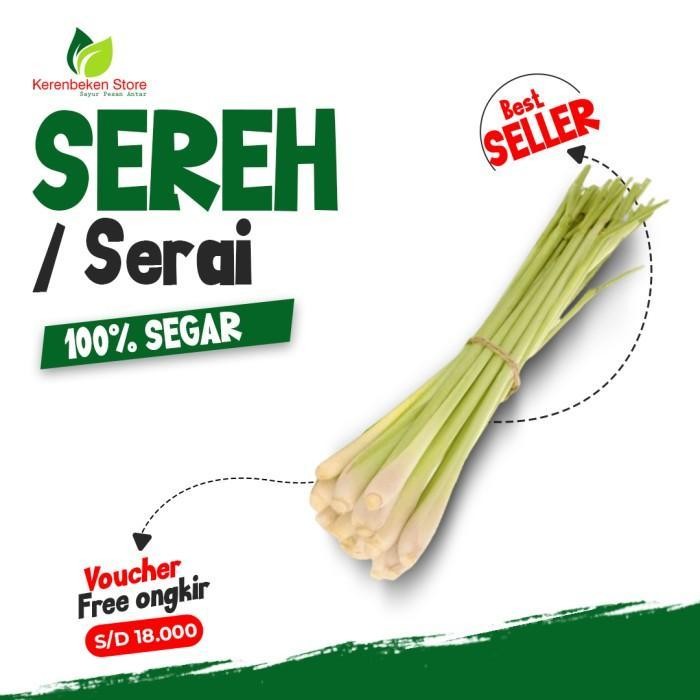 

LS Serai / Sereh Segar 1kg Aromatik Alami untuk Masakan & Minuman Herbal