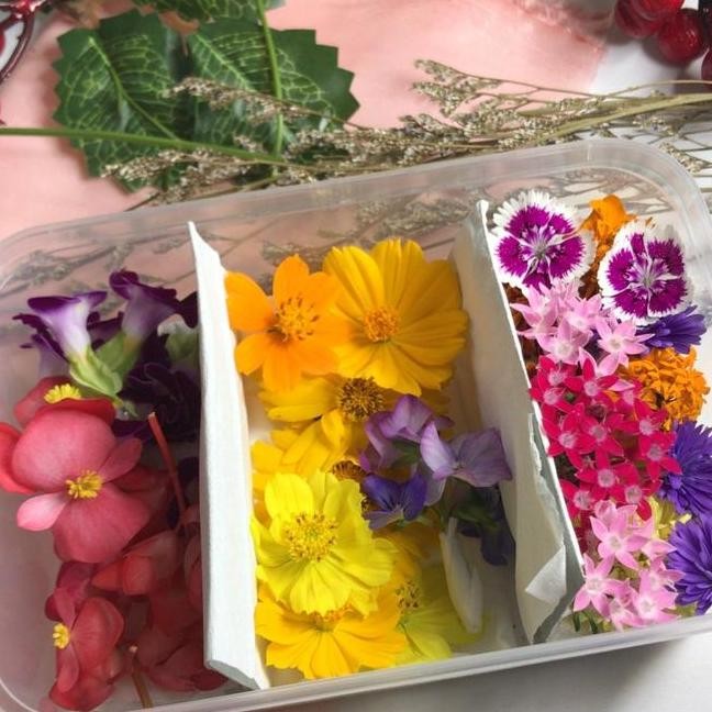 

Topping Penghias Pudding Makanan Kue Mix Edible Flower Bunga Konsumsi