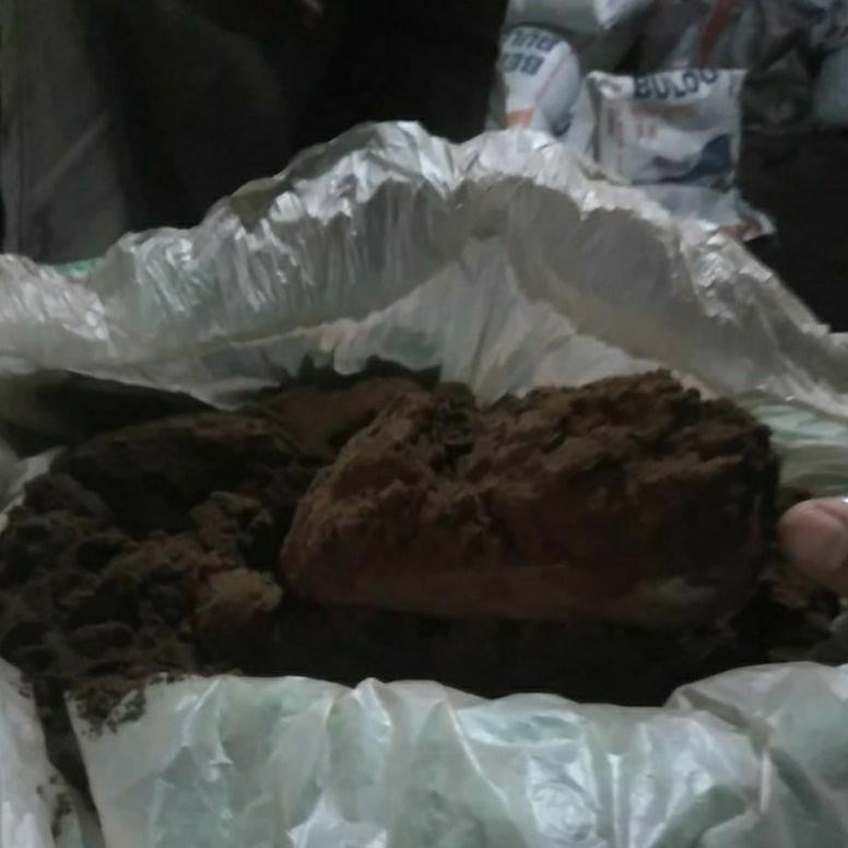 

Ready!! Suko Bubuk Kopi Loss 20kg Cocok untuk Reseller