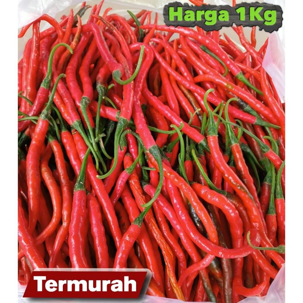 Terpopuler [ Jatim Saja ] Cabe Merah Keriting  1Kg / Cabe Keriting Merah 1Kilo  / Cabai Keriting 1Kg