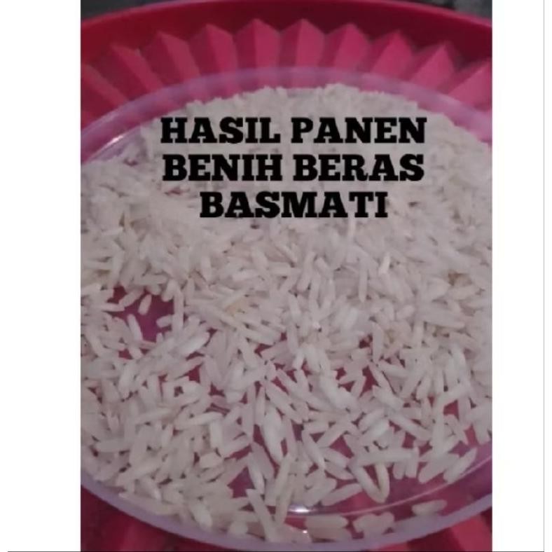 1Kg Benih Padi Basmati(Basmati/Baroma